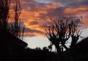 Spectacular sunrise on Walney taken by Mail Camera Club member Ann Hawkins