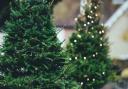 Are your decorations coming down? Here's all the places you can recycle your Christmas tree in Cumbria