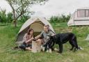 Beginners guide to camping with your dog