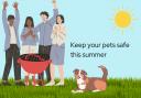 PDSA BBQ safety for pets
