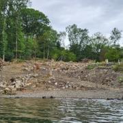 Image showing the felling of trees on the shoreline of Windermere