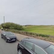 The woman was bitten by the dog near Furness Club, says Cumbria Police