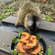 Tepid celebrated her 25th birthday with a cake