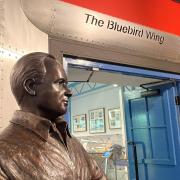 The Bluebird Wing