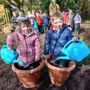 Dane Ghyll has built a reputation for its pupils' green fingers, coming as runners up in the Primary Awards for Green Education in Schools 2023