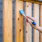 Can my neighbour paint my fence? The important rules to know