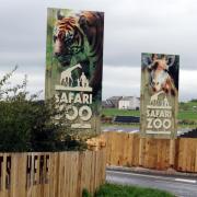 South Lakes Safari Zoo bosses respond after lease is terminated