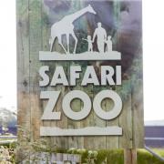 South Lakes Safari Zoo closed as lease terminated