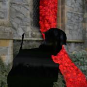 Remembering World War One, 100 years on. A Tommy Soldier silhouette and a weeping window of poppies outside Christ Church Silloth: 5 November 2018..STUART WALKER.