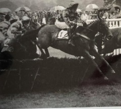 RACE: Cartmel Race pictured on the bank holiday in 1996 as the riders clear the first jump 