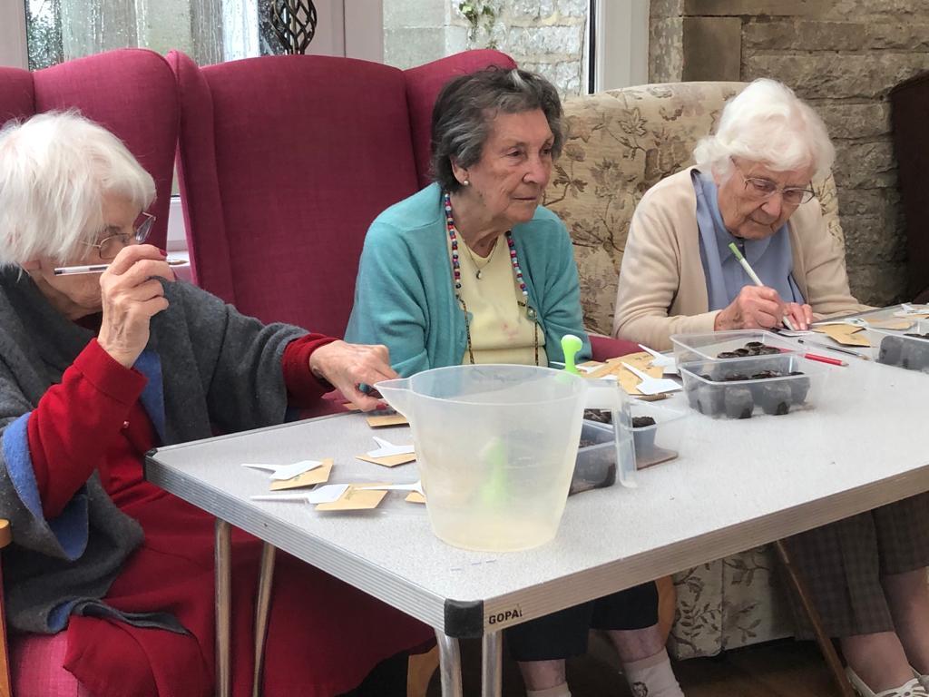 BUSY: Residents planting seeds in dehydrated pellets