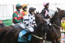 ON THE SURGE: Brian Hughes (aboard Lofgren, foreground) rode four more winners at Newcastle