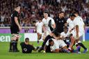 DAY OF DESTINY: England reached the Rugby World Cup final after outplaying New Zealand in Yokohama

