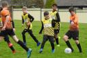 STILL UNBEATEN: Crooklands Casuals Oranges under-12s were at their best against Furness Rovers Knights                Pictures: Leigh Ebdell