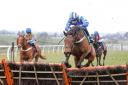 THEY’RE BACK: The novices hurdle will open the first meeting of the year at Carlisle on Monday