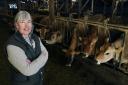 Claire Bland at Abbott Lodge farm in the Eden Valley, Cumbria. Along with her husband Steven they have built up a thriving ice cream business in the 20 years since foot and mouth struck them and many of their neighbours. After their herd was culled in 200