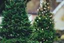Are your decorations coming down? Here's all the places you can recycle your Christmas tree in Cumbria