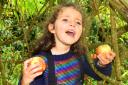 Bea Dampier, age 5, at Apple Day at Ford Park in Ulverston