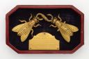 The clasp of bees taken from Napoleon's cloak