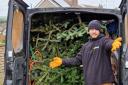 Over 600 Christmas have been recycled this week