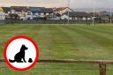 Askam ARLC is asking owners to stop letting their dogs leave a mess on the pitch