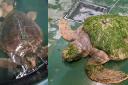 The loggerhead turtle was taken to SEA LIFE Centre in Blackpool