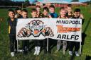 Hindpool Tigers after they received a grant last year. The advertising boards will represent a new revenue stream