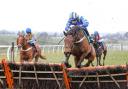 THEY’RE BACK: The novices hurdle will open the first meeting of the year at Carlisle on Monday