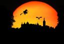 Get in the spooky spirit with these Halloween castle events in Cumbria (Canva)