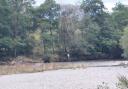 River Derwent burst its banks