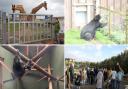 Images taken at South Lakes Safari Zoo by Born Free during their visit