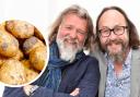 The Hairy Bikers give advice on growing your own vegetables