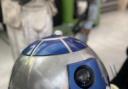 One of the R2-D2s built by the club