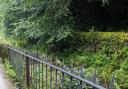 The newly installed fence at Gill Banks in Ulverston