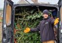 Over 600 Christmas have been recycled this week