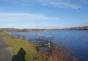 Wildlife events are taking place at Furness reservoirs and beaches this half term