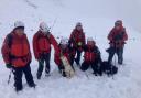 Members of the Mountain Rescue rescuing two dogs on Scafell Pike