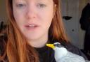 Bekka with one of the little terns she made