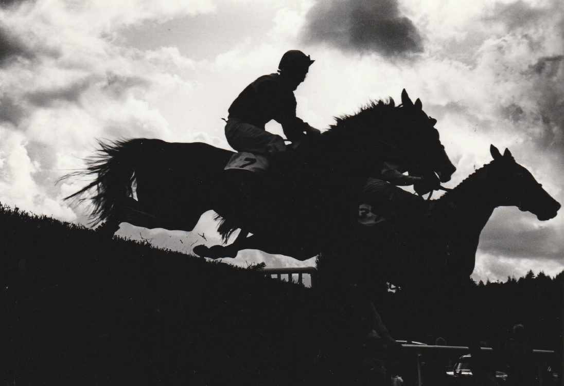 RACE: Vanguard and Stay Awake silhouetted in the third race at Cartmel Races in August 1992