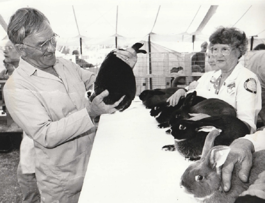 SILVER: Judge Eddie Hutchings inspects a young black silver fox rabbit at Cartmel Show in 1995