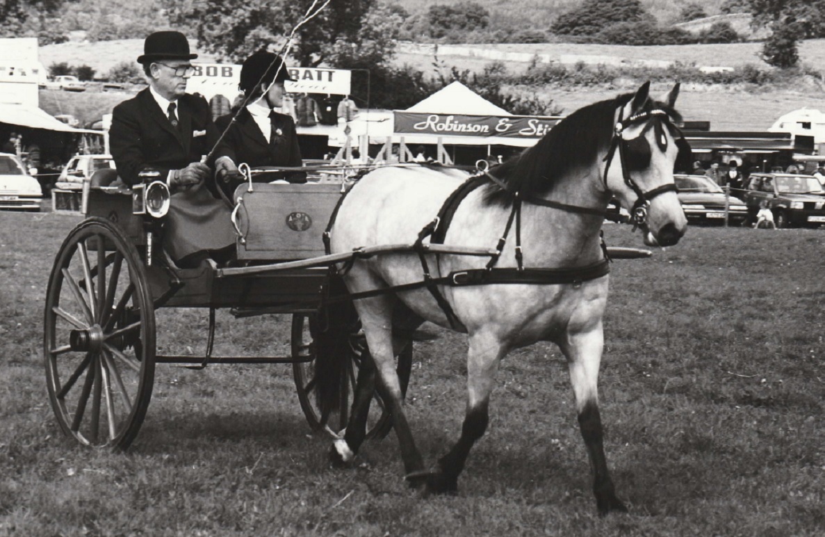 HORSE: Carriage driving at Hawkshead Show in 1993