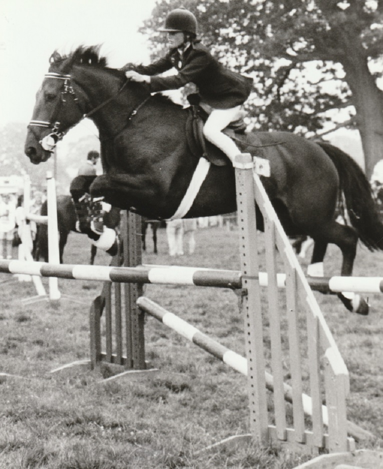 HORSE: Horse jumping at North Lonsdale Show in 1991