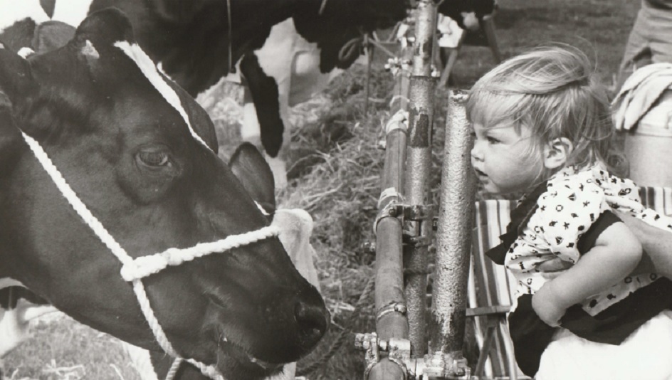 LONSDALE: This photograph, taken in 1991, was used to advertise the fact that there would be plenty to see and do at the North Lonsdale Show in 1992