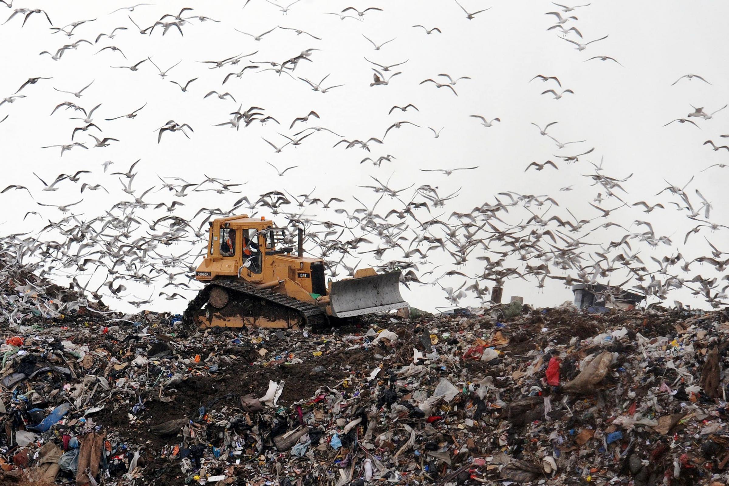 Environmental group loses court fight over Government's climate policies - Vimarsana News