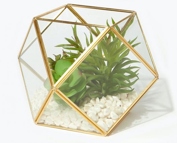 The Mail: Succulents in Hexagonal Planter is available via Matalan. Picture: Matalan