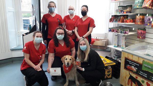 The Mail: FAREWELL: The team at Oakhill Veterinary Group with Crystal