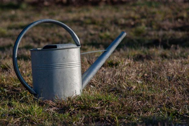 The Mail: Watering can sitting on the grass. Credit: PA