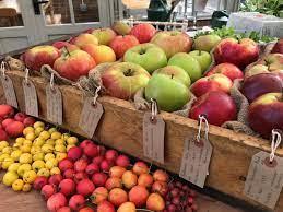 Autumn Apple sale at Acorn Bank in Penrith