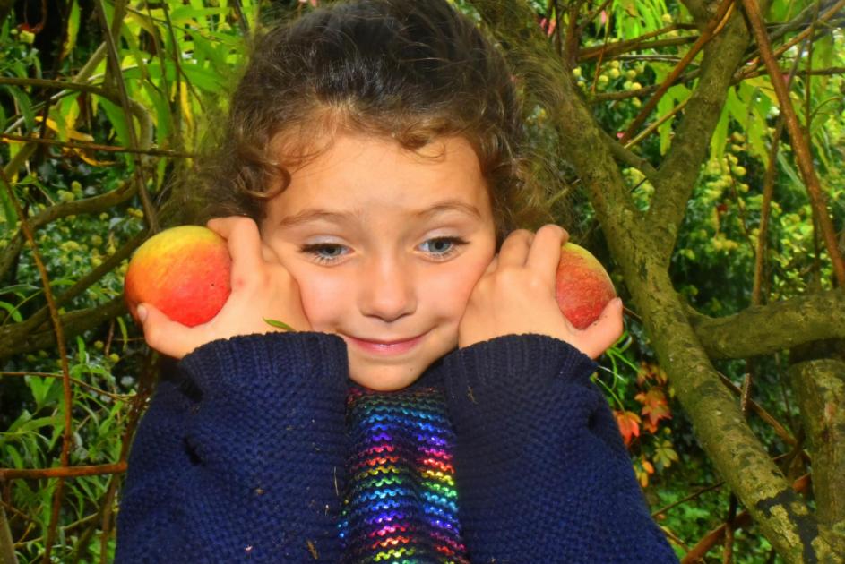 Ulverston community comes together to celebrate Apple Day 