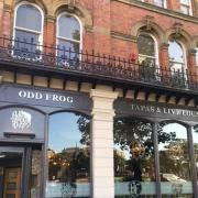 Odd Frog in Barrow is one of the most memorable names in Cumbria